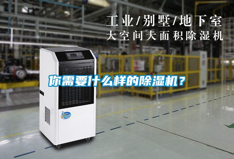你需要什么樣的除濕機？