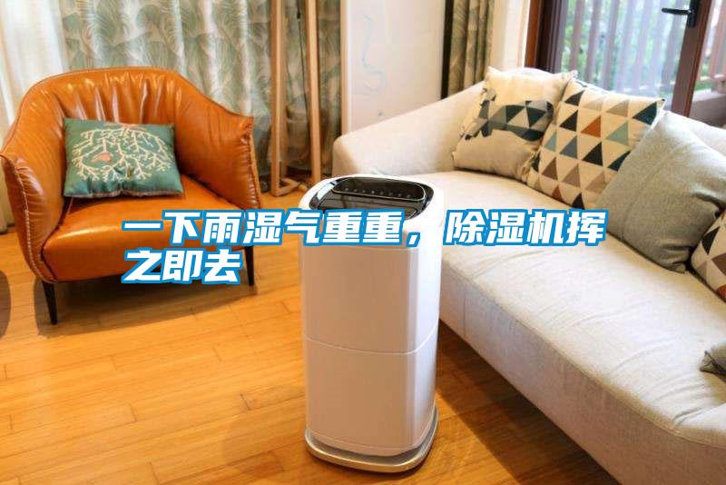 一下雨濕氣重重，除濕機(jī)揮之即去