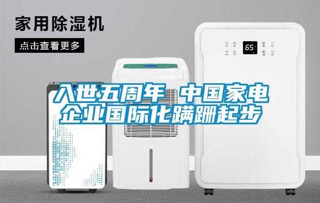 入世五周年 中國(guó)家電企業(yè)國(guó)際化蹣跚起步
