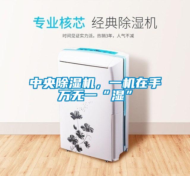 中央除濕機，一機在手萬無一“濕”