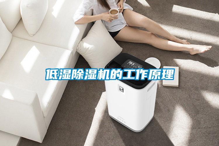 低濕除濕機的工作原理