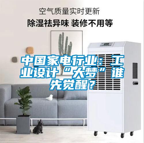 中國(guó)家電行業(yè)：工業(yè)設(shè)計(jì)“大夢(mèng)”誰先覺醒？