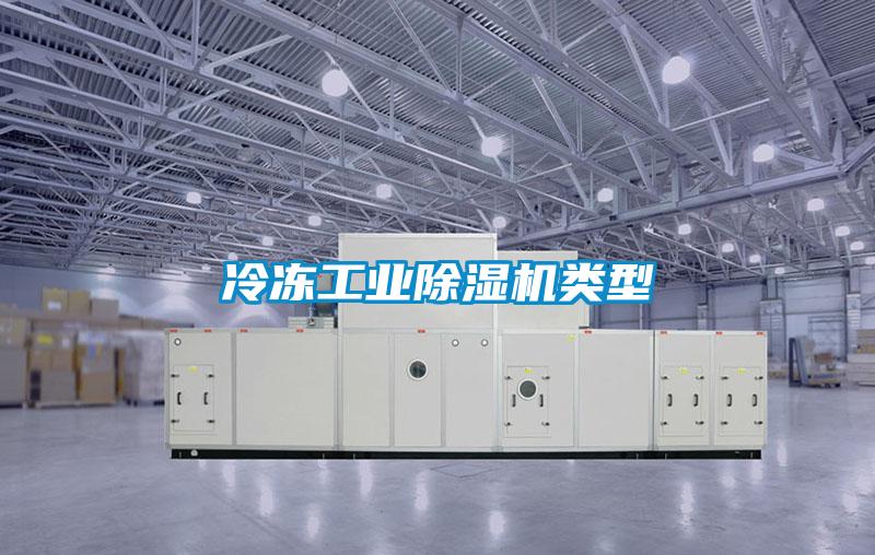 冷凍工業(yè)除濕機類型