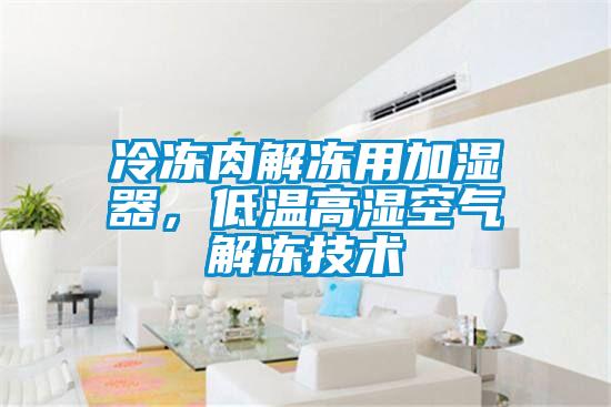 冷凍肉解凍用加濕器，低溫高濕空氣解凍技術(shù)