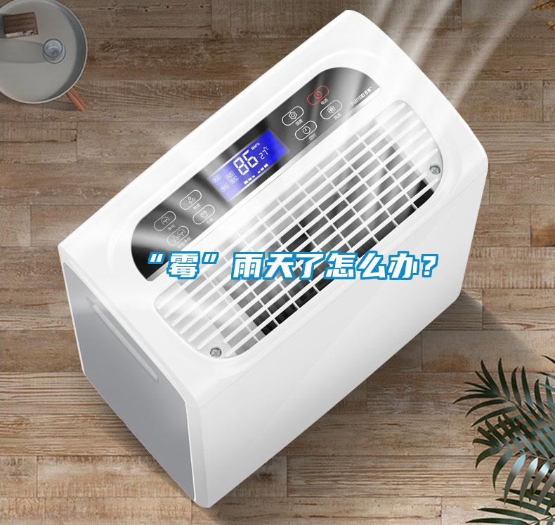 “霉”雨天了怎么辦？