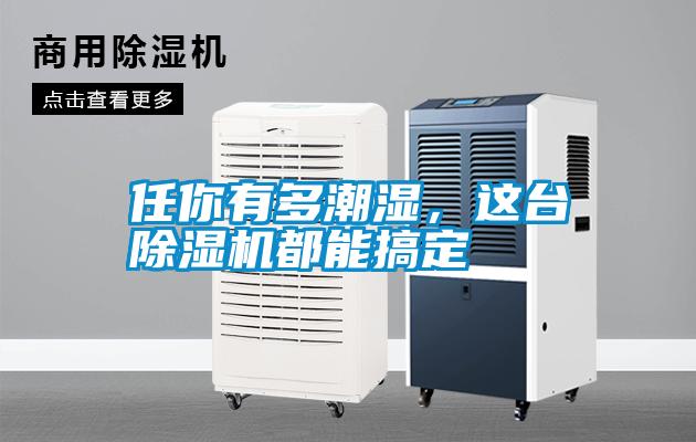 任你有多潮濕，這臺(tái)除濕機(jī)都能搞定