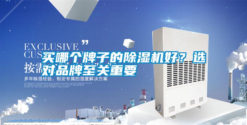 買(mǎi)哪個(gè)牌子的除濕機(jī)好？選對(duì)品牌至關(guān)重要
