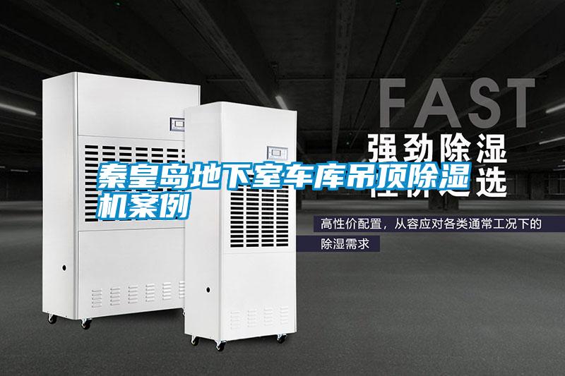 秦皇島地下室車(chē)庫(kù)吊頂除濕機(jī)案例
