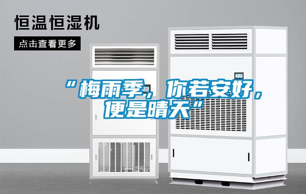 “梅雨季，你若安好，便是晴天”