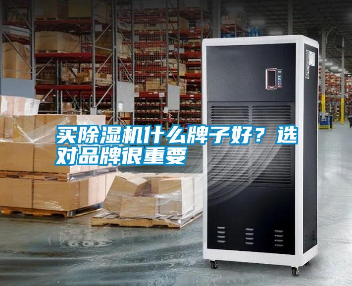 買除濕機什么牌子好？選對品牌很重要