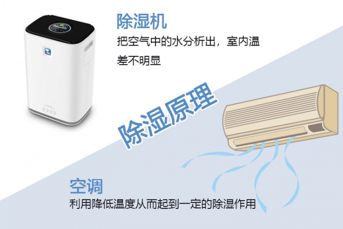 南方梅雨季，怎樣不讓“霉運”肆無忌憚？