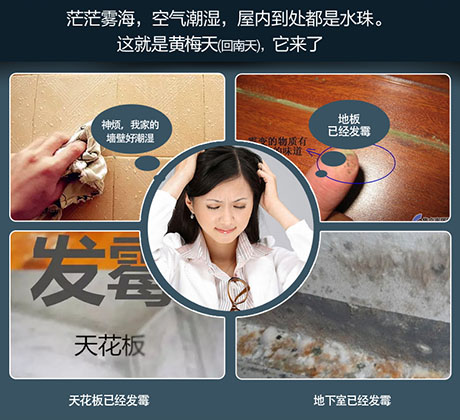 家庭別墅的地下室、衛(wèi)生間、儲物室等該如何除濕？