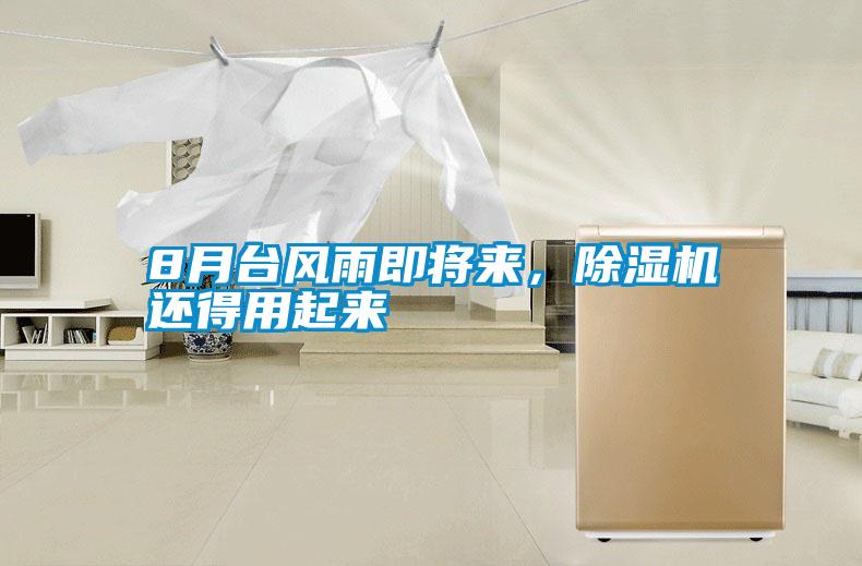8月臺風雨即將來，除濕機還得用起來