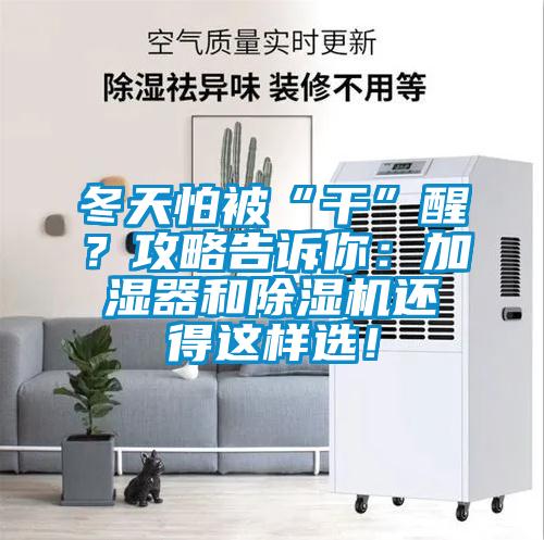 冬天怕被“干”醒？攻略告訴你：加濕器和除濕機還得這樣選！