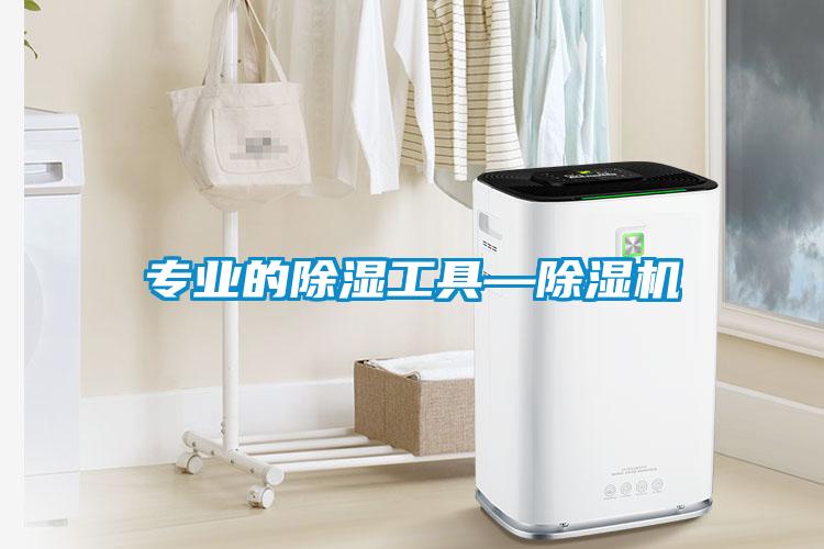 專(zhuān)業(yè)的除濕工具—除濕機(jī)