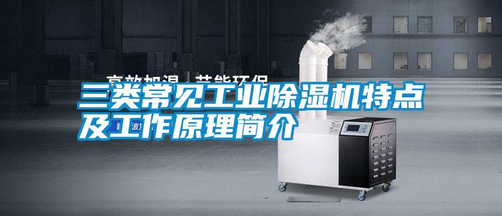 三類常見(jiàn)工業(yè)除濕機(jī)特點(diǎn)及工作原理簡(jiǎn)介