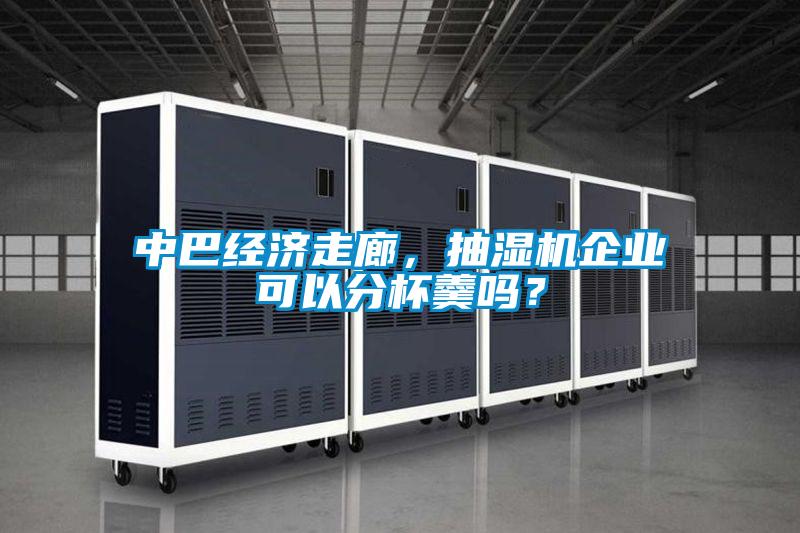 中巴經(jīng)濟走廊，抽濕機企業(yè)可以分杯羹嗎？