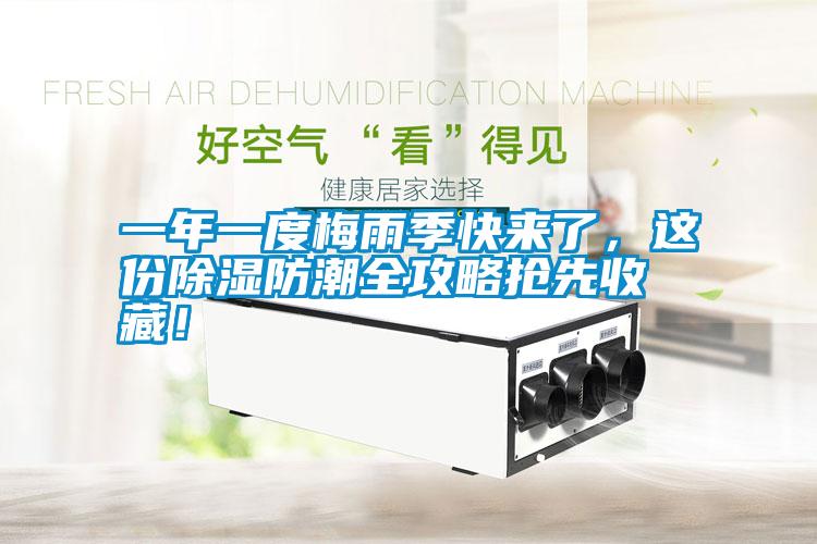 一年一度梅雨季快來了，這份除濕防潮全攻略搶先收藏！