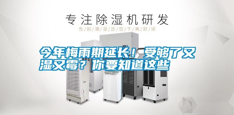 今年梅雨期延長！受夠了又濕又霉？你要知道這些