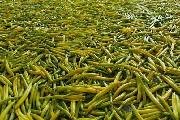 無硫金針菜烘干如何保持品相？不發(fā)黑？