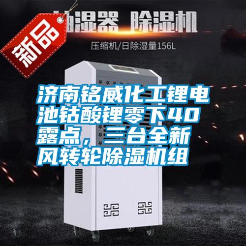 濟(jì)南銘威化工鋰電池鈷酸鋰零下40℃露點(diǎn),三臺(tái)全新風(fēng)轉(zhuǎn)輪除濕機(jī)組