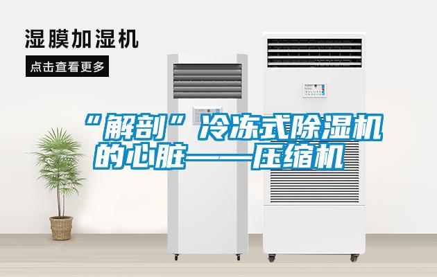 “解剖”冷凍式除濕機(jī)的心臟——壓縮機(jī)