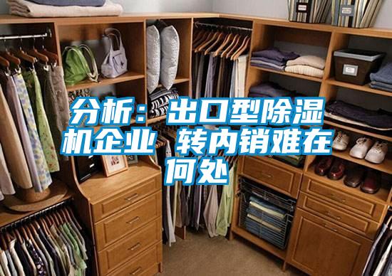 分析：出口型除濕機企業(yè) 轉內銷難在何處
