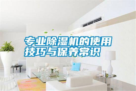 專業(yè)除濕機的使用技巧與保養(yǎng)常識
