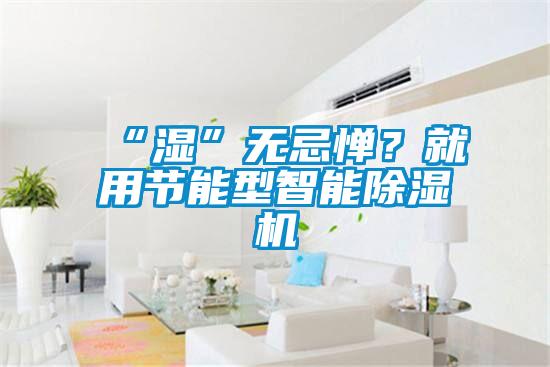 “濕”無忌憚？就用節(jié)能型智能除濕機