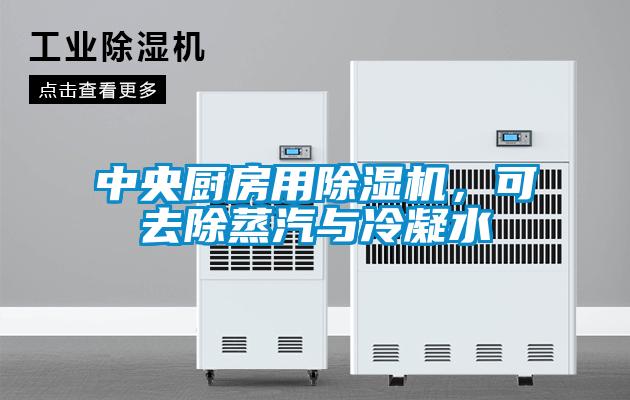 中央廚房用除濕機，可去除蒸汽與冷凝水