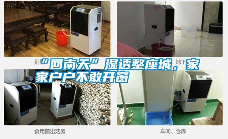 “回南天”濕透整座城，家家戶戶不敢開(kāi)窗