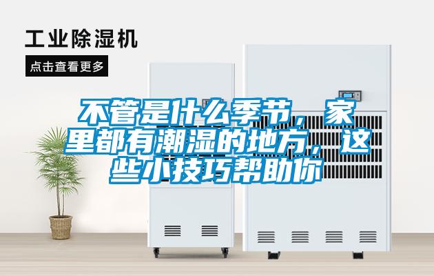不管是什么季節(jié)，家里都有潮濕的地方，這些小技巧幫助你