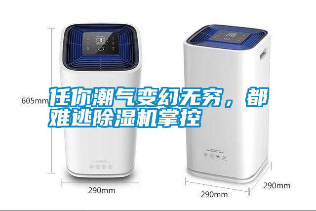 任你潮氣變幻無(wú)窮，都難逃除濕機(jī)掌控