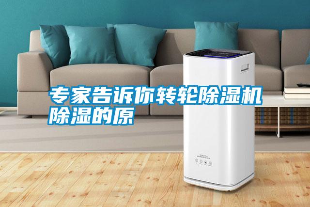 專家告訴你轉(zhuǎn)輪除濕機(jī)除濕的原
