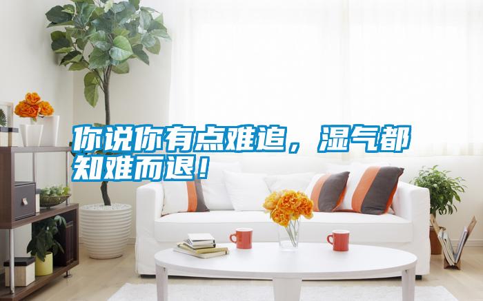 你說你有點(diǎn)難追，濕氣都知難而退！