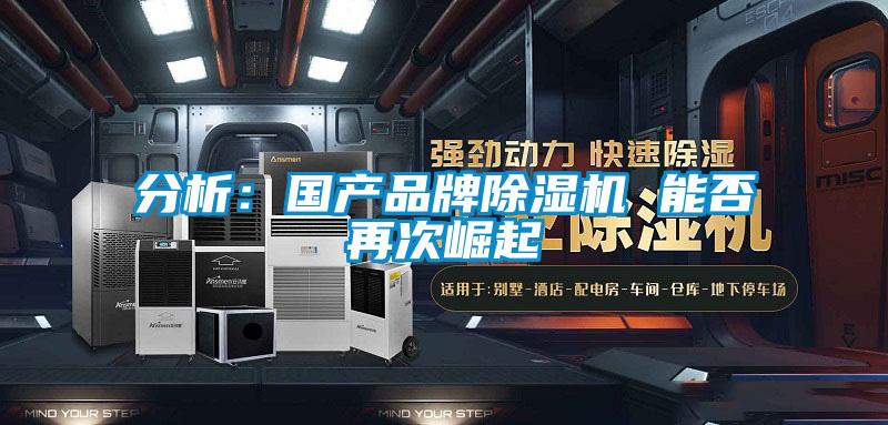 分析：國產(chǎn)品牌除濕機 能否再次崛起