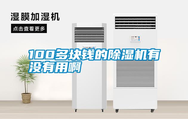 100多塊錢(qián)的除濕機(jī)有沒(méi)有用啊