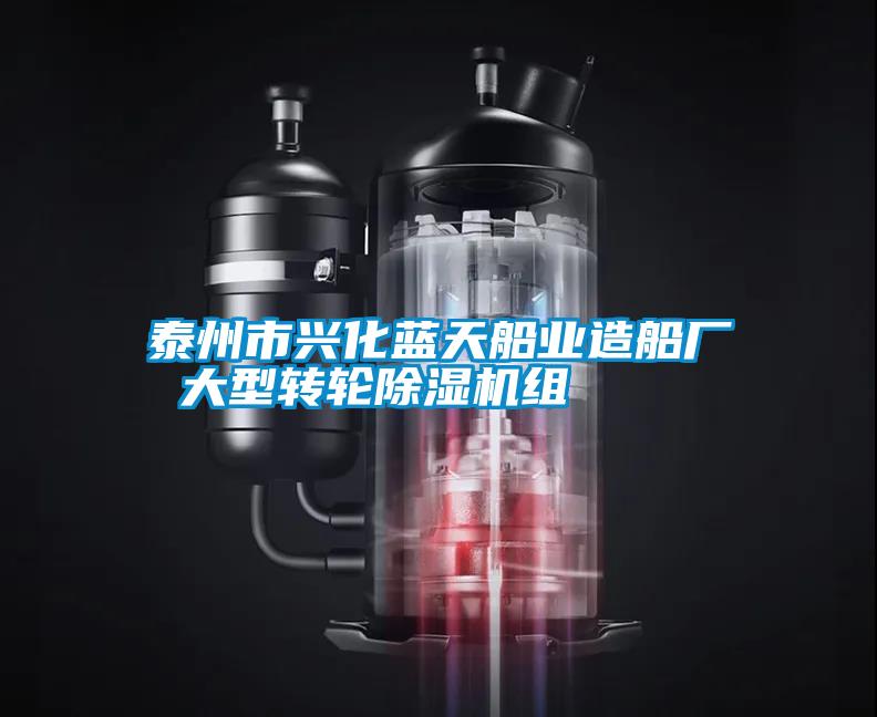 泰州市興化藍(lán)天船業(yè)造船廠 大型轉(zhuǎn)輪除濕機(jī)組