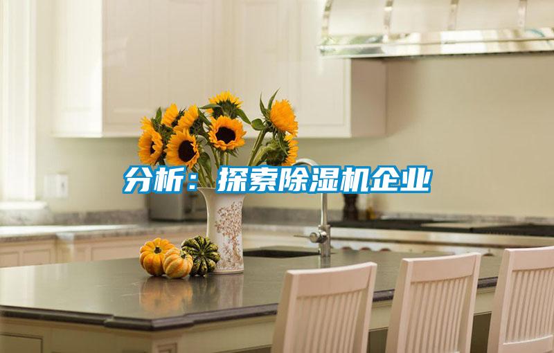 分析：探索除濕機(jī)企業(yè)
