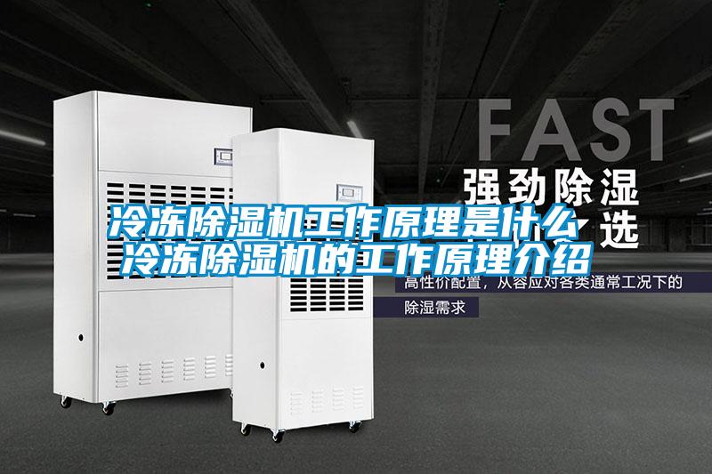 冷凍除濕機工作原理是什么 冷凍除濕機的工作原理介紹