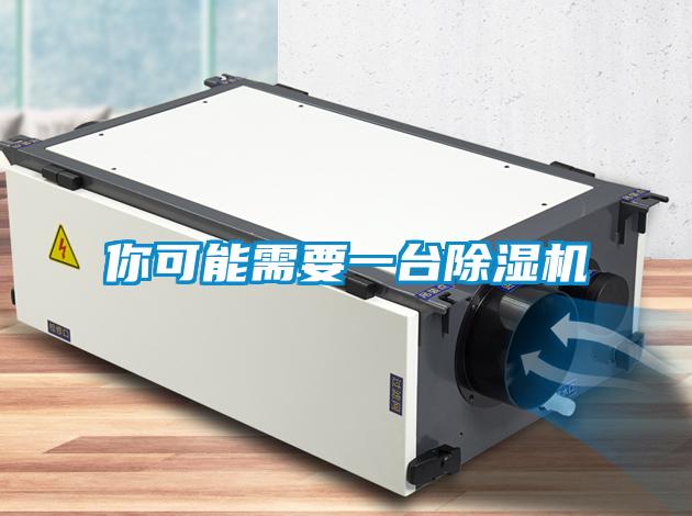 你可能需要一臺除濕機(jī)