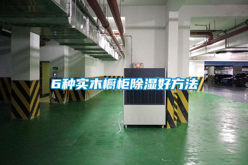 6種實(shí)木櫥柜除濕好方法