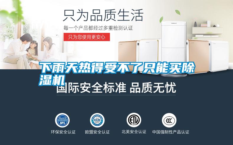 下雨天熱得受不了只能買除濕機