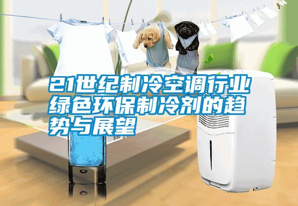 21世紀(jì)制冷空調(diào)行業(yè)綠色環(huán)保制冷劑的趨勢(shì)與展望