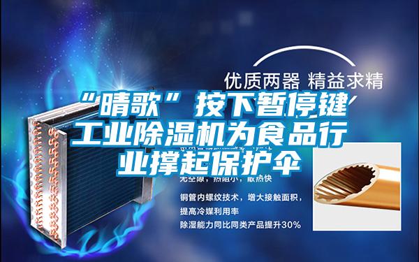 “晴歌”按下暫停鍵 工業(yè)除濕機(jī)為食品行業(yè)撐起保護(hù)傘