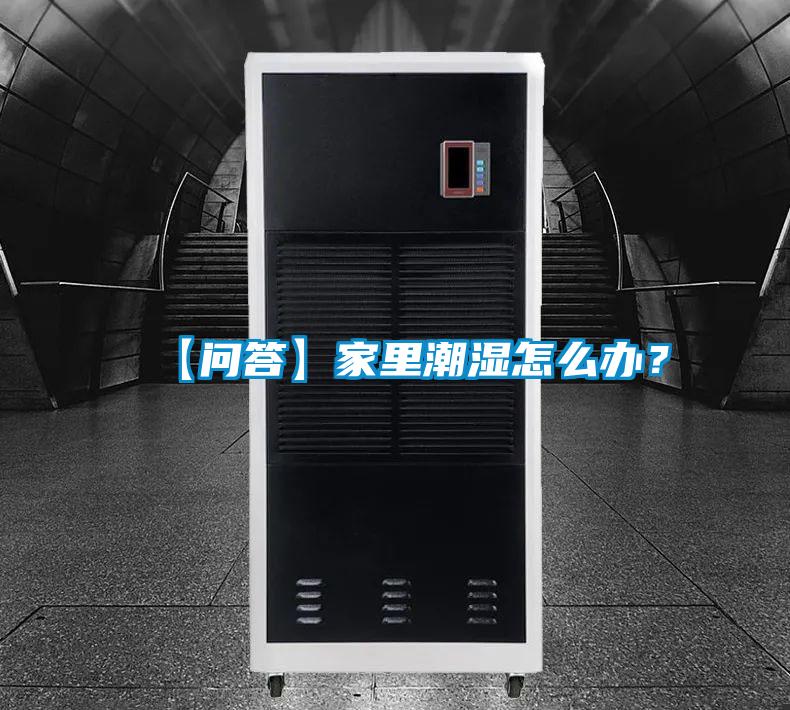【問(wèn)答】家里潮濕怎么辦？