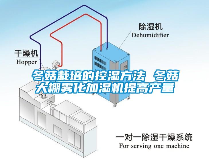 冬菇栽培的控濕方法 冬菇大棚霧化加濕機(jī)提高產(chǎn)量