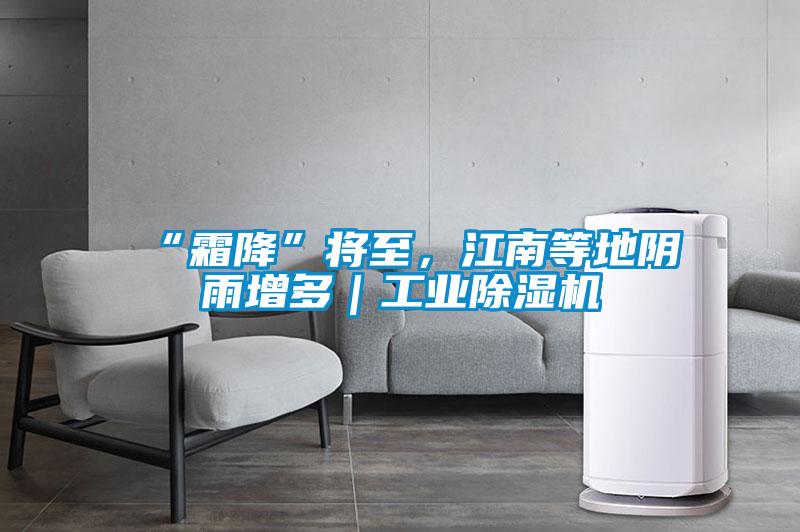 “霜降”將至，江南等地陰雨增多｜工業(yè)除濕機