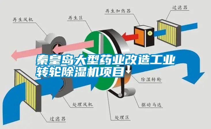 秦皇島大型藥業(yè)改造工業(yè)轉(zhuǎn)輪除濕機(jī)項(xiàng)目