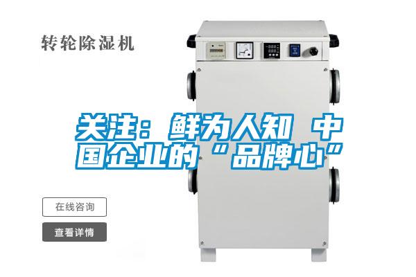 關注：鮮為人知 中國企業(yè)的“品牌心”